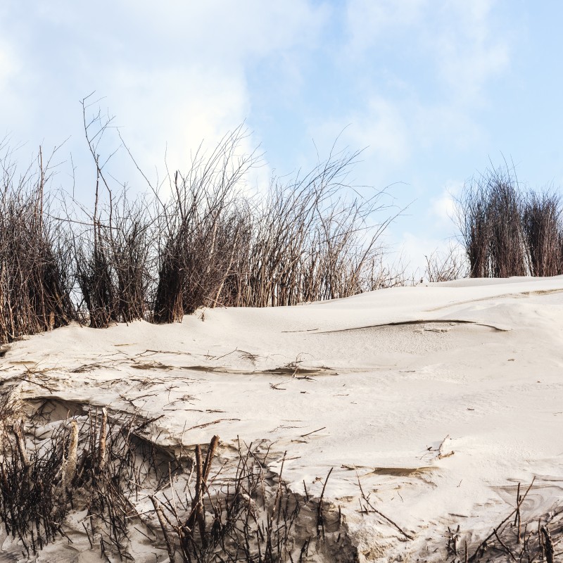 Spur im Sand – neuer Anfang